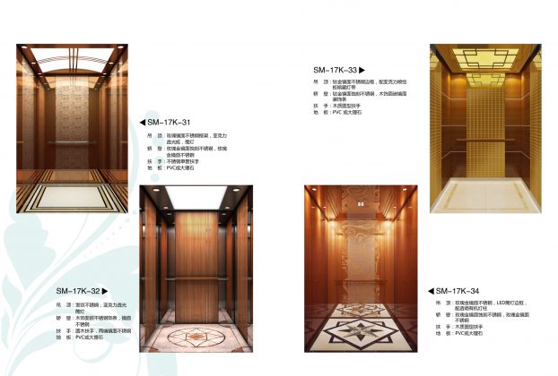 canny exclusive cabin design elevator p4 | Swiftbd